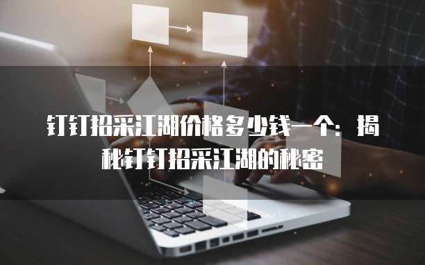 钉钉招采江湖价格多少钱一个:揭秘钉钉招采江湖的秘密