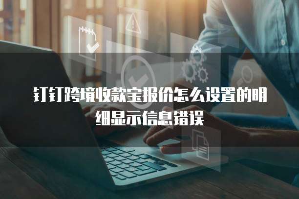 钉钉跨境收款宝报价怎么设置的明细显示信息错误