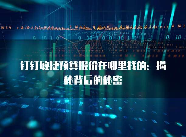 钉钉敏捷预算报价在哪里找的:揭秘背后的秘密