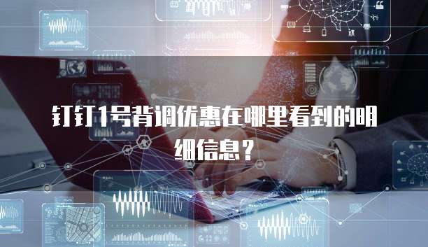 钉钉1号背调优惠在哪里看到的明细信息？