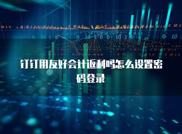 钉钉用友好会计返利吗怎么设置密码登录