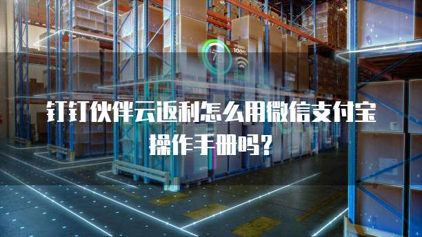 钉钉伙伴云返利怎么用微信支付宝操作手册吗?