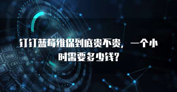 钉钉蓝莓维保到底贵不贵,一个小时需要多少钱?
