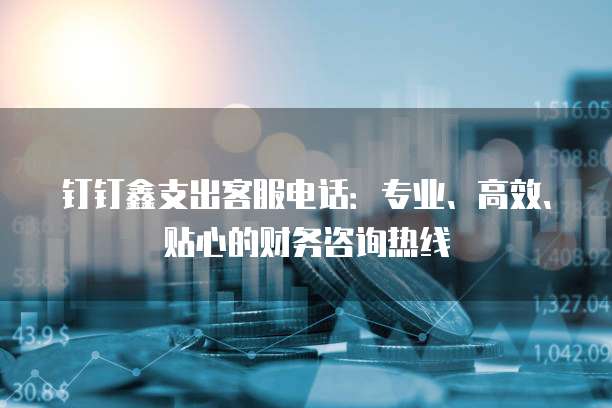 钉钉鑫支出客服电话:专业、高效、贴心的财务咨询热线