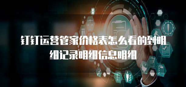 钉钉运营管家价格表怎么看的到明细记录明细信息明细