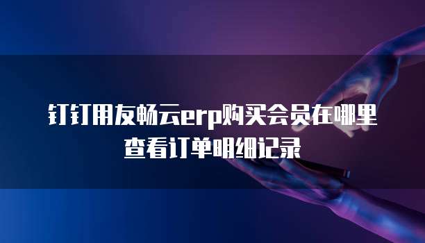 钉钉用友畅云erp购买会员在哪里查看订单明细记录