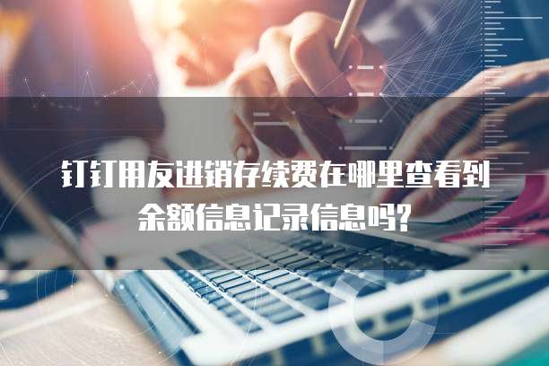 钉钉用友进销存续费在哪里查看到余额信息记录信息吗?