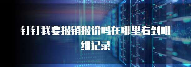 钉钉我要报销报价吗在哪里看到明细记录