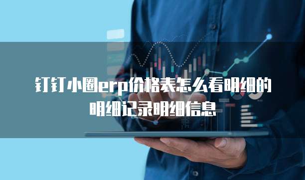 钉钉小圈erp价格表怎么看明细的明细记录明细信息