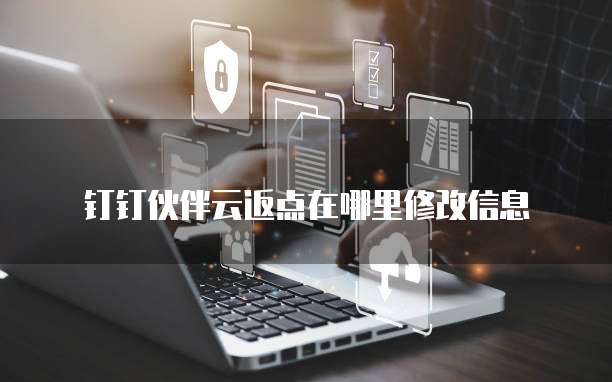 钉钉伙伴云返点在哪里修改信息