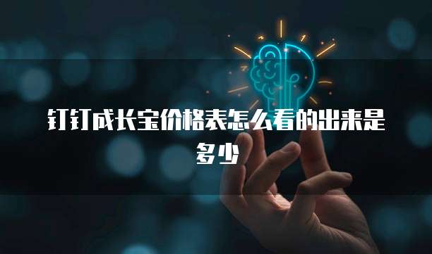 钉钉成长宝价格表怎么看的出来是多少