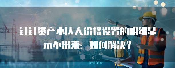钉钉资产小达人价格设置的明细显示不出来：如何解决？