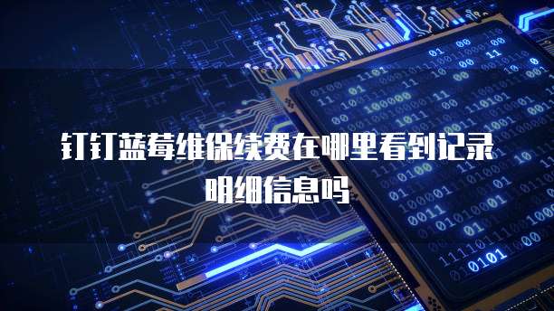 钉钉蓝莓维保续费在哪里看到记录明细信息吗