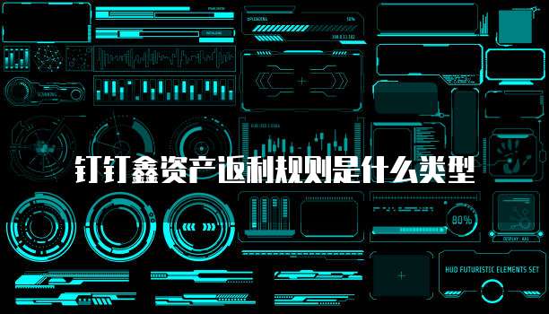 钉钉鑫资产返利规则是什么类型