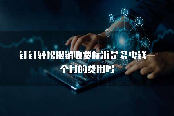 钉钉轻松报销收费标准是多少钱一个月的费用吗