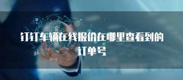 钉钉车辆在线报价在哪里查看到的订单号