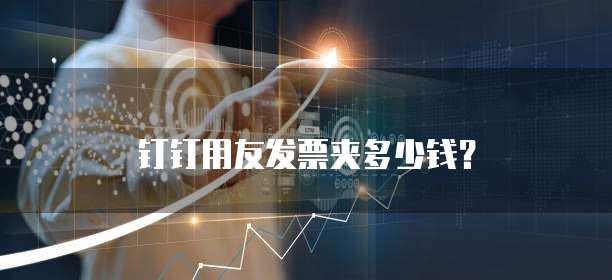 钉钉用友发票夹多少钱？