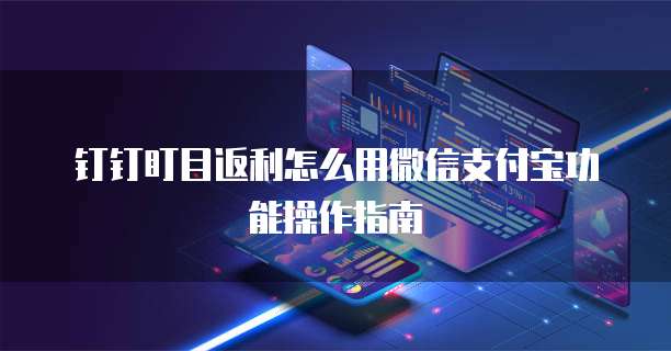 钉钉盯目返利怎么用微信支付宝功能操作指南