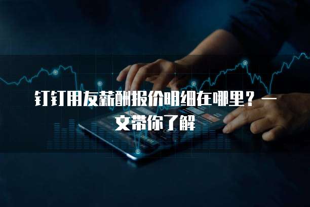 钉钉用友薪酬报价明细在哪里?一文带你了解