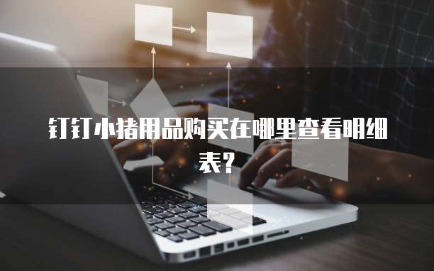 钉钉小猪用品购买在哪里查看明细表?