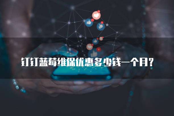 钉钉蓝莓维保优惠多少钱一个月?