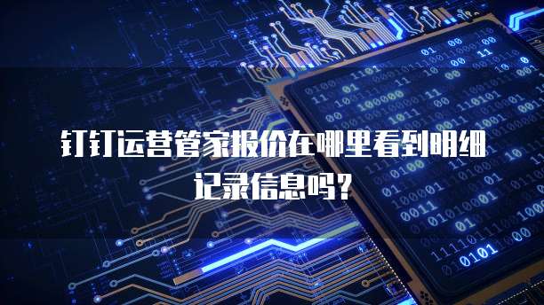 钉钉运营管家报价在哪里看到明细记录信息吗?