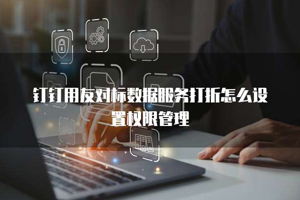 钉钉用友对标数据服务打折怎么设置权限管理