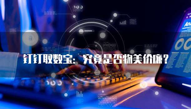 钉钉取数宝:究竟是否物美价廉?