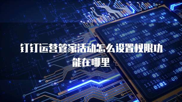 钉钉运营管家活动怎么设置权限功能在哪里