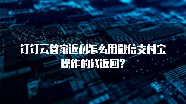 钉钉云管家返利怎么用微信支付宝操作的钱返回?