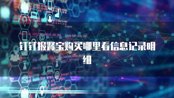 钉钉报餐宝购买哪里看信息记录明细