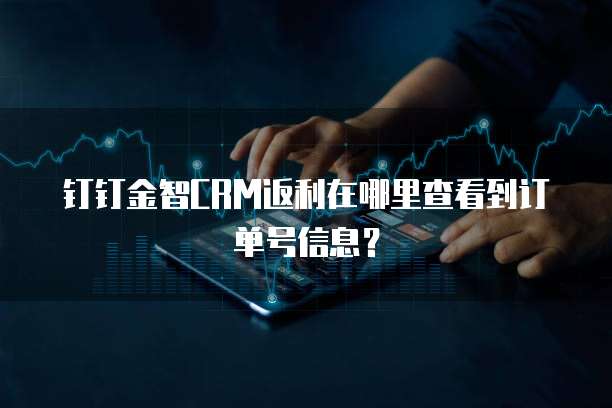 钉钉金智CRM返利在哪里查看到订单号信息?