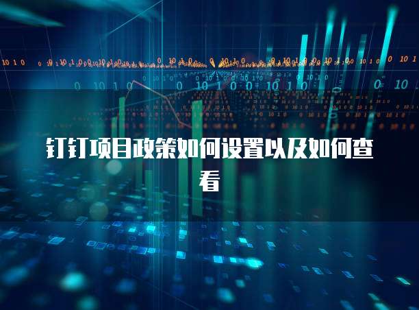 钉钉项目政策如何设置以及如何查看