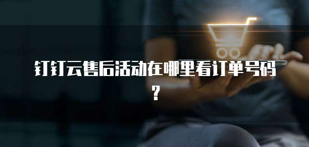 钉钉云售后活动在哪里看订单号码?