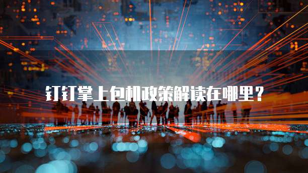 钉钉掌上包机政策解读在哪里?