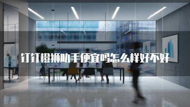 钉钉橙狮助手便宜吗怎么样好不好