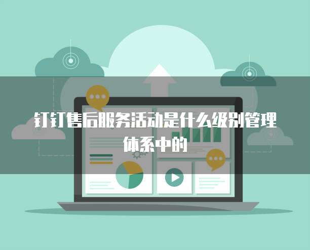钉钉售后服务活动是什么级别管理体系中的