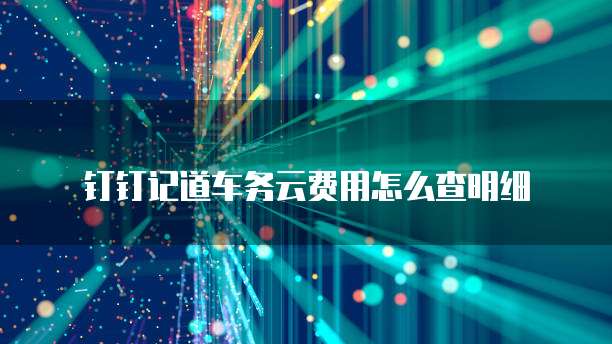 钉钉记道车务云费用怎么查明细