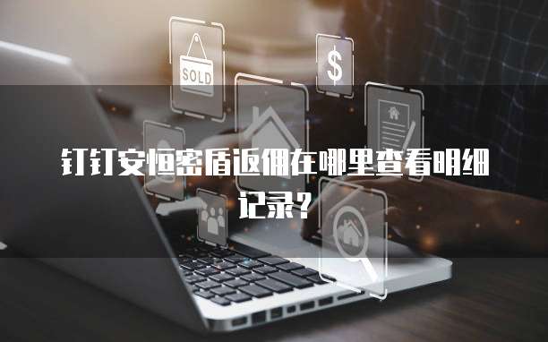 钉钉安恒密盾返佣在哪里查看明细记录?