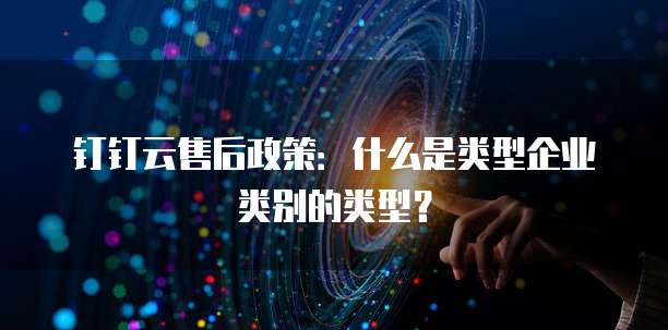 钉钉云售后政策：什么是类型企业类别的类型？