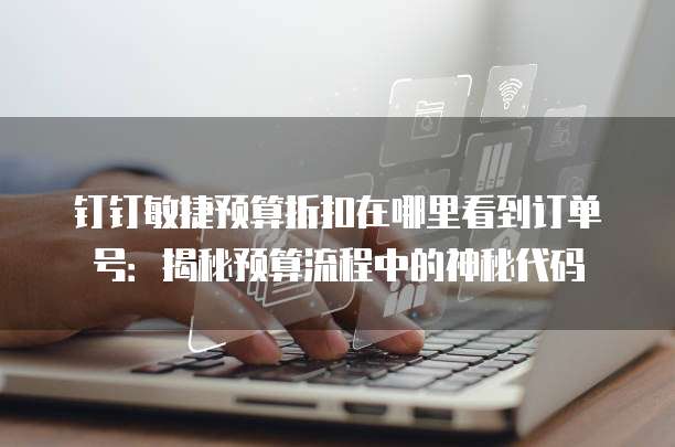 钉钉敏捷预算折扣在哪里看到订单号:揭秘预算流程中的神秘代码