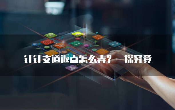 钉钉支道返点怎么弄?一探究竟