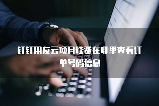 钉钉用友云项目续费在哪里查看订单号码信息