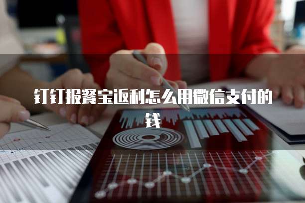 钉钉报餐宝返利怎么用微信支付的钱