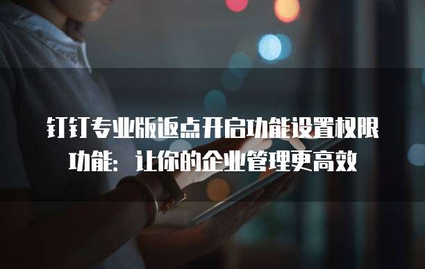 钉钉专业版返点开启功能设置权限功能:让你的企业管理更高效
