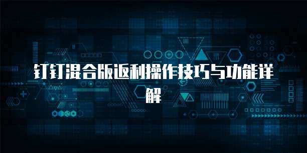 钉钉混合版返利操作技巧与功能详解