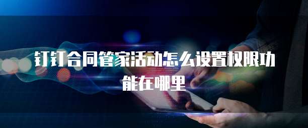 钉钉合同管家活动怎么设置权限功能在哪里