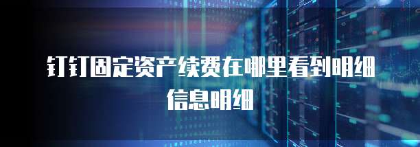 钉钉固定资产续费在哪里看到明细信息明细