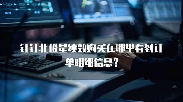 钉钉北极星绩效购买在哪里看到订单明细信息?