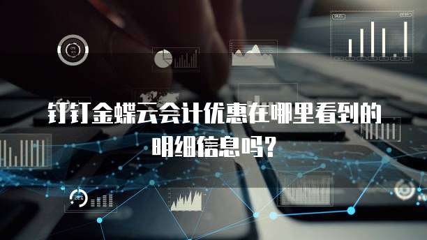 钉钉金蝶云会计优惠在哪里看到的明细信息吗?